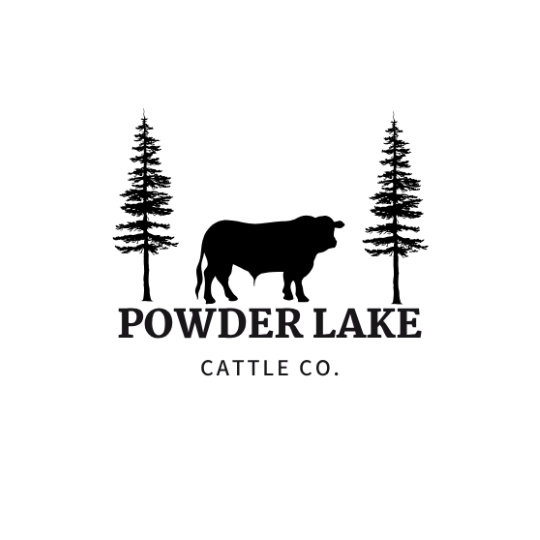 LTTM Gold Sponsor
